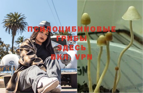 мет Арсеньев